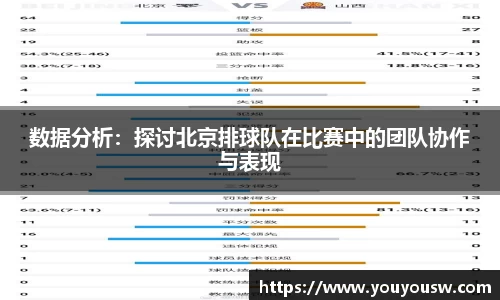 数据分析：探讨北京排球队在比赛中的团队协作与表现